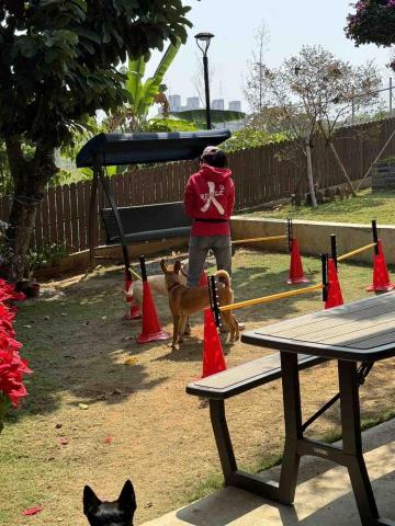 陳溫蒂 - 敏捷訓練-跨欄-障礙跳高