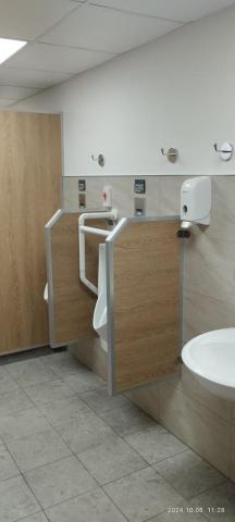 HCL裝修工程 - 廁所配件安全扶手