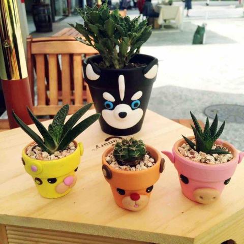 土星垣創意工作室 - 軟陶盆栽
兼具美觀與實用的作品
使用軟陶讓作品有更多可能性 土星垣創意工作室 - 軟陶盆栽
兼具美觀與實用的作品
使用軟陶讓作品有更多可能性