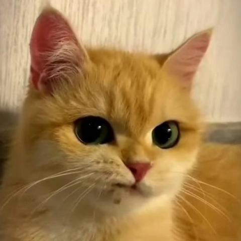 提供广东河源怎样找福利姬虚拟女友河源福利姬️baoyang bond服務的專家姬麗英