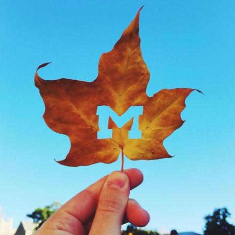 提供120服務的專家VivianChang