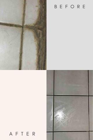 全國清潔工作室 - 寵物尿垢清潔 全國清潔工作室 - 寵物尿垢清潔