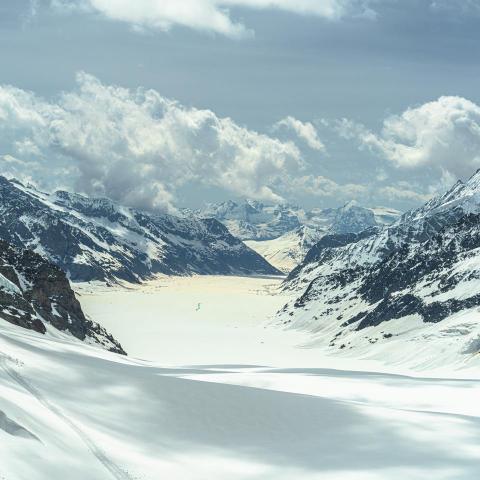 提供兼差服務的專家Rita Chuang