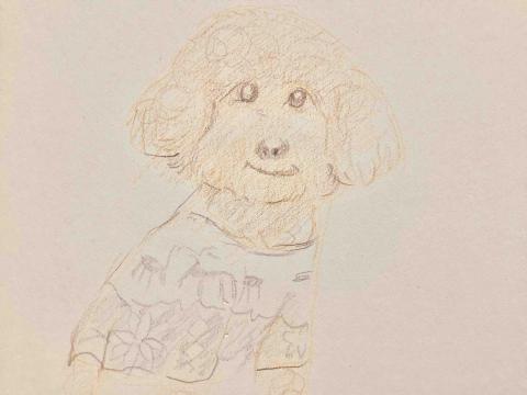 天闊創意科技 -  天闊創意科技 -