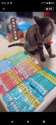 阿助托運專車2.1T（個人） - 