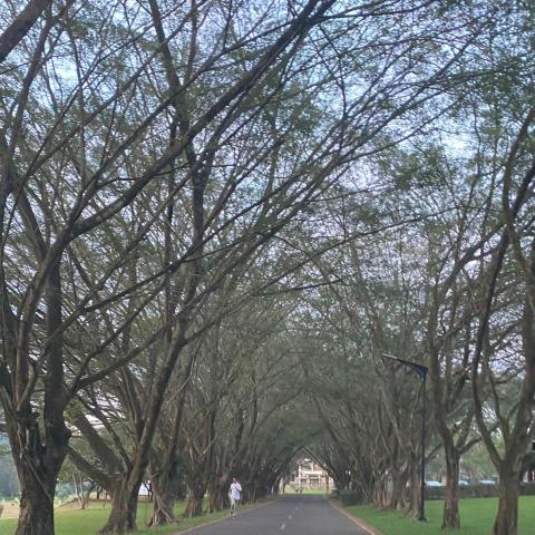 提供除草服務的專家信達