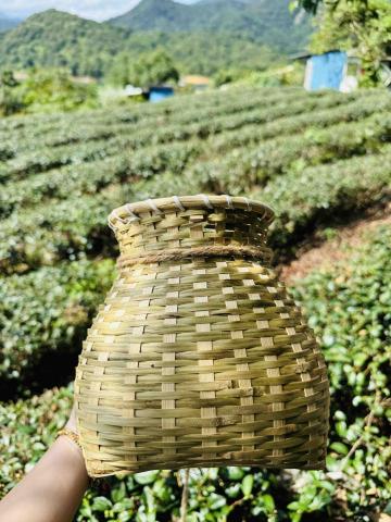 提供日檢服務的專家黃心貞