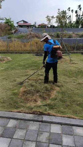 伍栩漢 - 打草囉