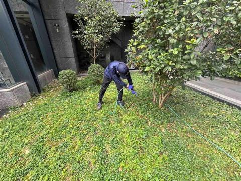 洛克病媒防治 - 社區戶外白蟻防治服務