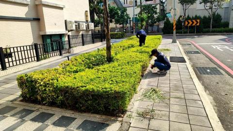 台南園藝行 - 灌木拔草整理修剪