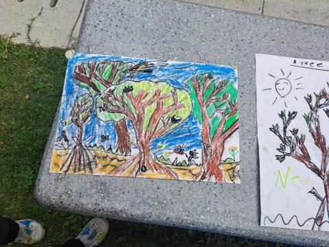 金魚老師 - 小一寫生作品