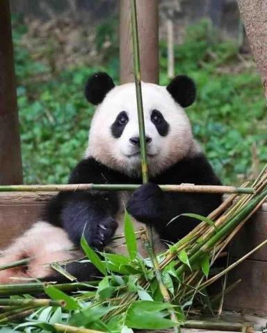 提供cisa開鎖服務的專家律先生