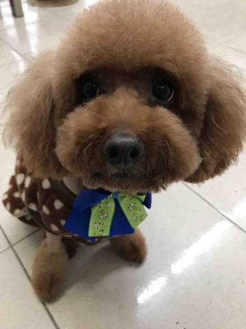 黃詩皓 - 日常照