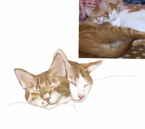 吳姿宜 - 寵物似顏繪