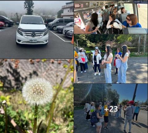 禾風旅遊-阿哲 - 阿里山一日遊