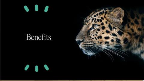 匠心編輯室 - 專案啟動報告書案例