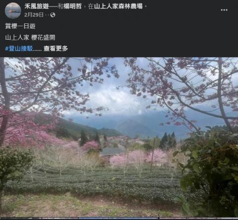 禾風旅遊-阿哲 - 新竹 山上人家 賞櫻花