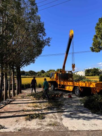 👑皇喬園藝《樹木修剪、伐木整地》 - 施工前