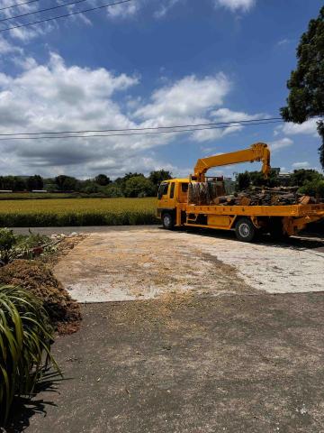 👑皇喬園藝《樹木修剪、伐木整地》 - 施工後