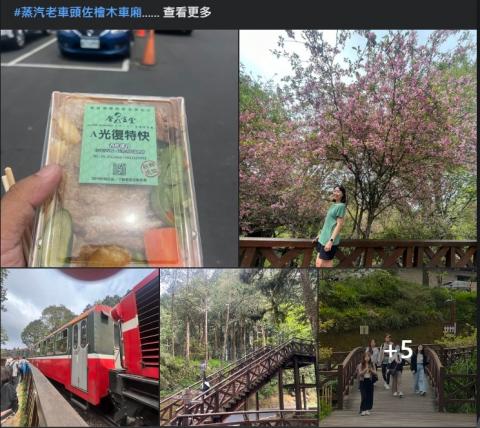 禾風旅遊-阿哲 - 阿里山一日遊