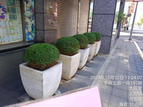 吉欣園藝 - 前庭植栽保養維護