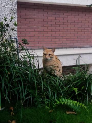 林虹君 - 喜歡簡單攝影