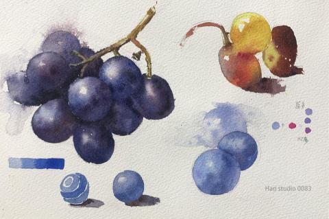 Han studio  邱柏翰 - 葡萄水彩球體解析

理解調配顏色的比例，搭配觀察現實的觀察力，更容易畫出我們想要的效果