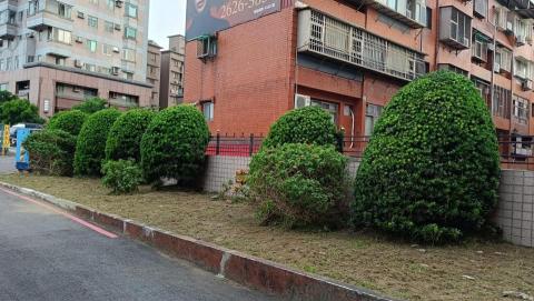 吉欣園藝 - 社區園藝維護