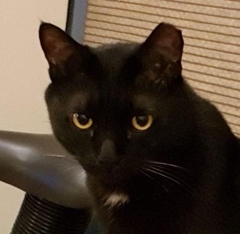 提供缸魚缸服務的專家魚缸數位工作室