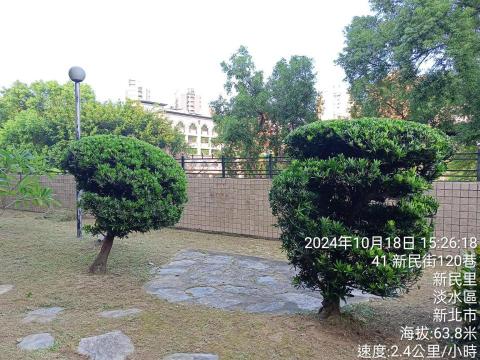 吉欣園藝 - 羅漢松造形設計