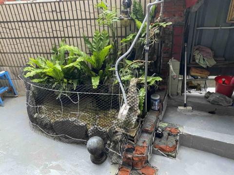 鈨程工程有限公司 - 修改魚池前