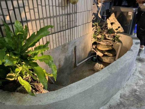 鈨程工程有限公司 - 魚池整修