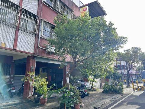 瑋羽園藝工坊 - 行道樹修剪（前）