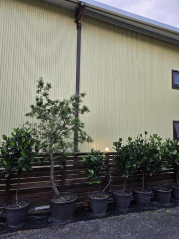 淼涼工作室 - 銅管管槽施作