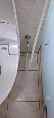 Shr-Rung  Lin 阿鎔 - 馬桶旁邊清潔後