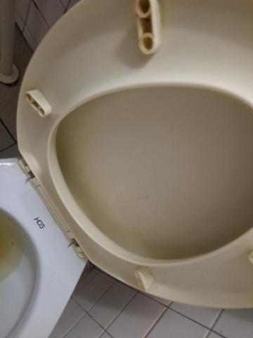 Shr-Rung  Lin 阿鎔 - 馬桶清潔