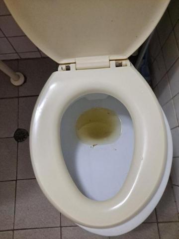 Shr-Rung  Lin 阿鎔 - 馬桶清潔前