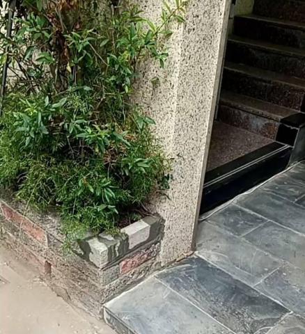 林裕紳 - 花台修補