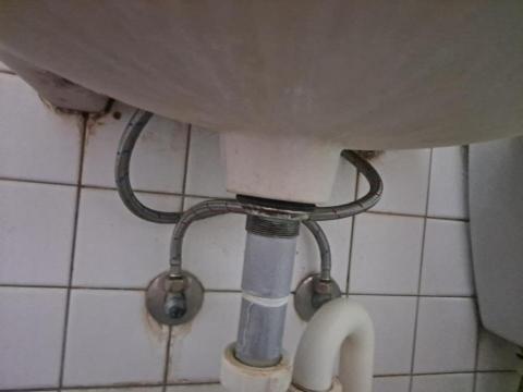 Shr-Rung  Lin 阿鎔 - 臉盆清潔前