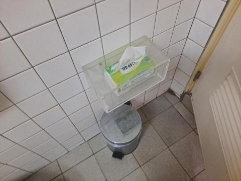 Shr-Rung  Lin 阿鎔 - 浴廁清潔前