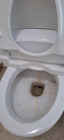 Shr-Rung  Lin 阿鎔 - 馬桶尿垢清潔前