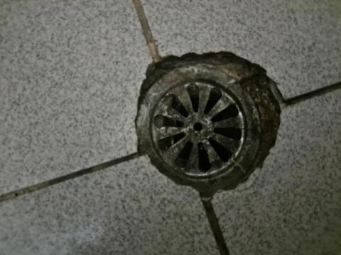 Shr-Rung  Lin 阿鎔 - 排水孔清潔前