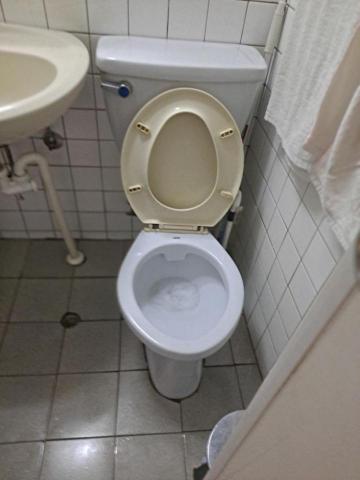 Shr-Rung  Lin 阿鎔 - 馬桶清潔後