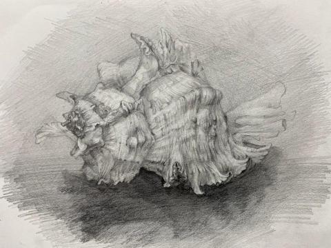 吉米老師 - 靜物鉛筆素描