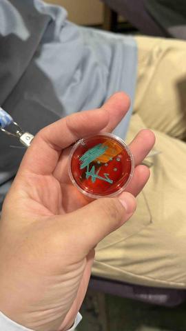 洪誌翎 - 細菌學會的獎品