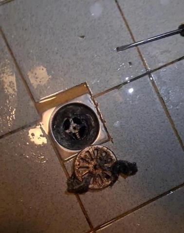 Shr-Rung  Lin 阿鎔 - 排水孔清潔