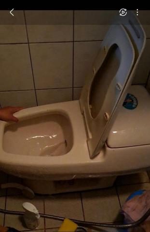 Shr-Rung  Lin 阿鎔 - 馬桶清潔中