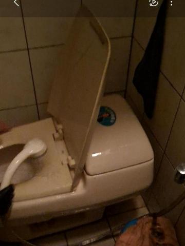 Shr-Rung  Lin 阿鎔 - 馬桶刷洗中