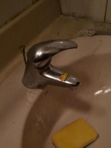 Shr-Rung  Lin 阿鎔 - 