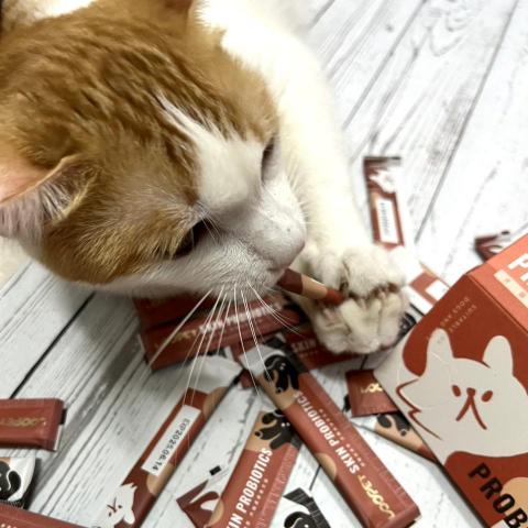 史萊貓小天 - 產品照